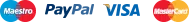 Logotipo de pago