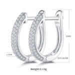 Orecchini a cerchio con moissanite K006A