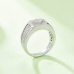 Sterling Silver Hip Hop Moissanite Ring For Men 5 sterling silver hip-hop moissanite ring m86h 05