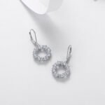 Sparkling star circle Moissanite hoop earrings 2 Bông tai khoen tròn đính đá Moissanite hình ngôi sao lấp lánh.