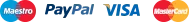 Logotipo de pago